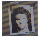 Meat Loaf - Blind Before I Stop