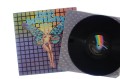 Butterfly_01.jpg
