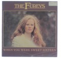 Fureys_01.jpg