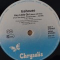 Icehouse_03.jpg