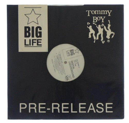 Tommy_01.jpg