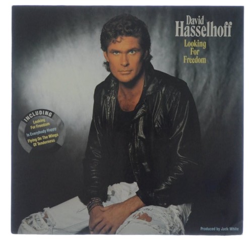 Hasselhoff_01.jpg