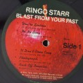 Ringo_03.jpg