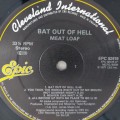 Bat_Out_03.jpg