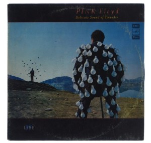 Pink Floyd - Delicate Sound Of Thunder 2LP