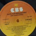 Garfunkel_03.jpg