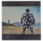 Pink Floyd - Delicate Sound Of Thunder No.1