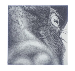 Paal Nilssen-Love & Mats Gustafsson - Con-Gas 2x7" 2013 PL