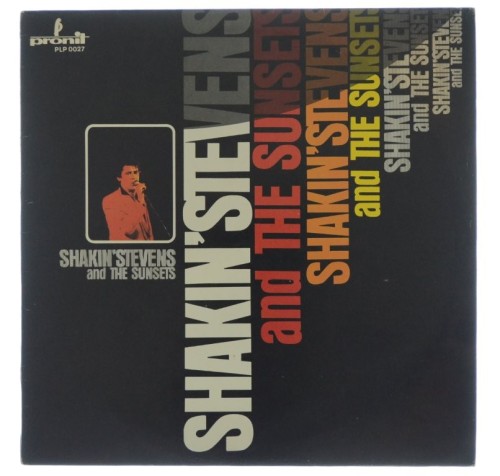 Shakin_01.jpg