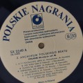 Polanie_03.jpg