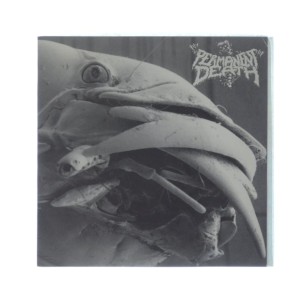 Permanent Death / Pissdeads 7" 2009 BELGIUM