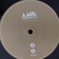 dabrowska_03.jpg