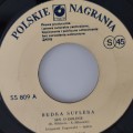 Budka_Sen_03.jpg
