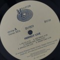 Perfect_03.jpg