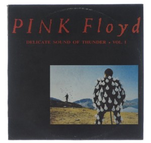 Pink Floyd - Delicate Sound Of Thunder Vol.I