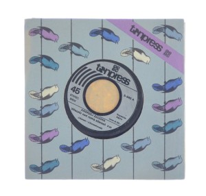 Andrzej Zaucha - Wieczór Nad Rzeką Zdarzeń / Dom Złej Dziewczyny 7" 1980 