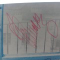 Lady_Pank_06.jpg