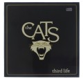 Cats_01.jpg