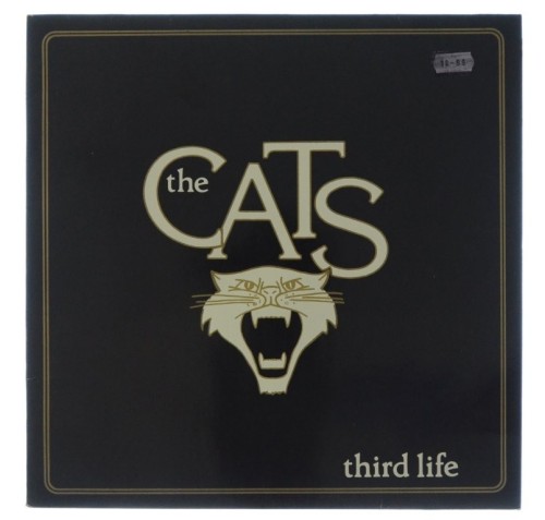 Cats_01.jpg