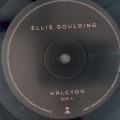 Ellie_03.jpg