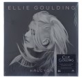 Ellie_01.jpg