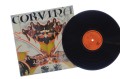 Corvina_01.jpg