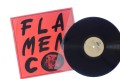 Flamenco_04.jpg